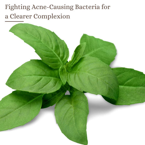 Fighting Acne-Causing Bacteria for a Clearer Complexion