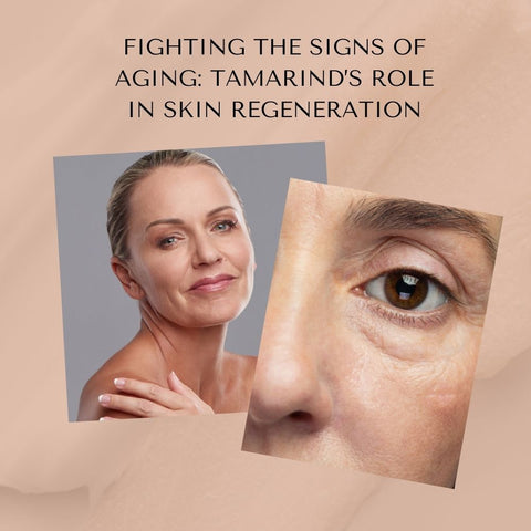 Fighting the Signs of Aging: Tamarind’s Role in Skin Regeneration