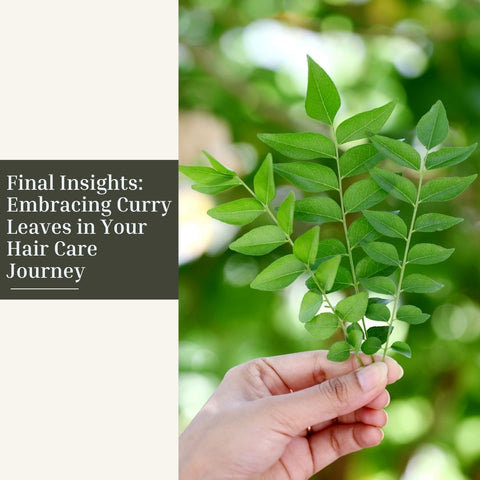Final Insights: Embracing Curry Leaves in Your Hair Care Journey
