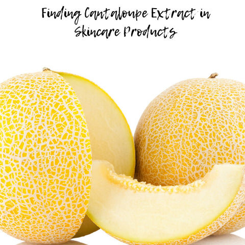 Finding Cantaloupe Extract in Skincare Products