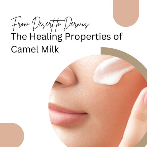 From Desert to Dermis: The Healing Properties of Camel Milk