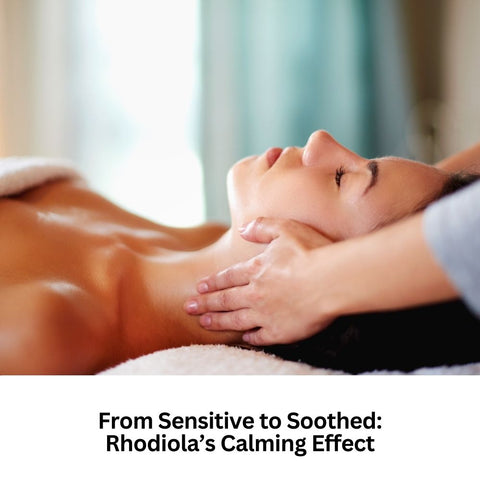From Sensitive to Soothed: Rhodiola’s Calming Effect