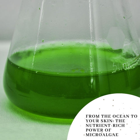 From the Ocean to Your Skin: The Nutrient-Rich Power of Microalgae