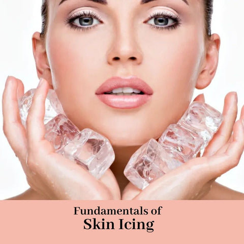 Fundamentals of Skin Icing