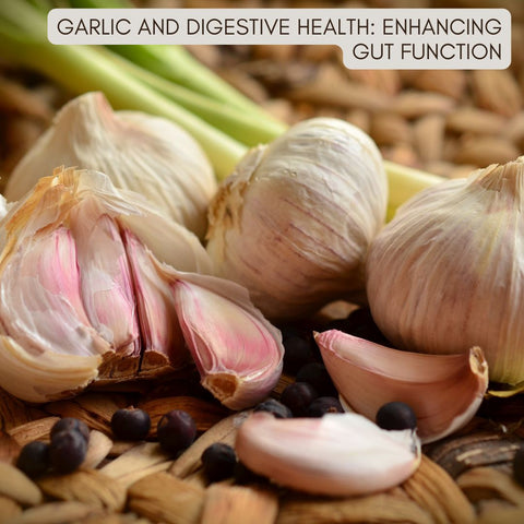 Garlic and Digestive Health: Enhancing Gut Function