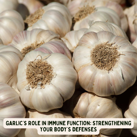 Garlic’s Role in Immune Function: Strengthening Your Body’s Defenses