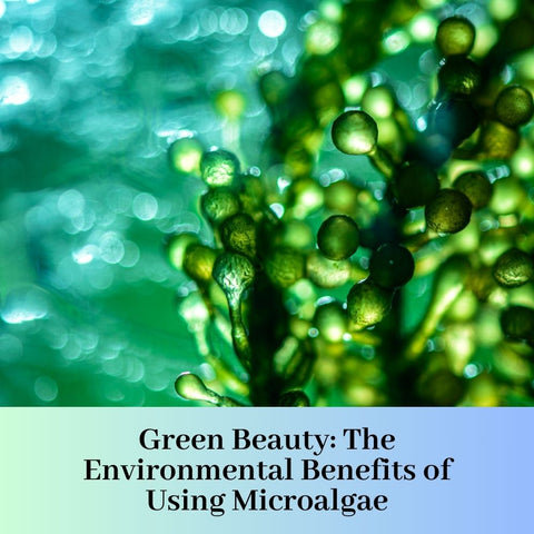 Green Beauty: The Environmental Benefits of Using Microalgae