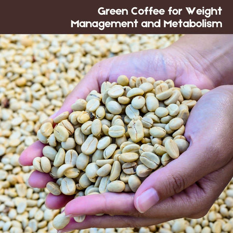 Green Coffee for Weight Management and Metabolism