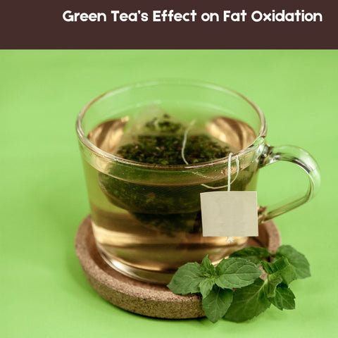 Green Tea’s Effect on Fat Oxidation