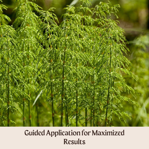 Guided Application for Maximized Results
