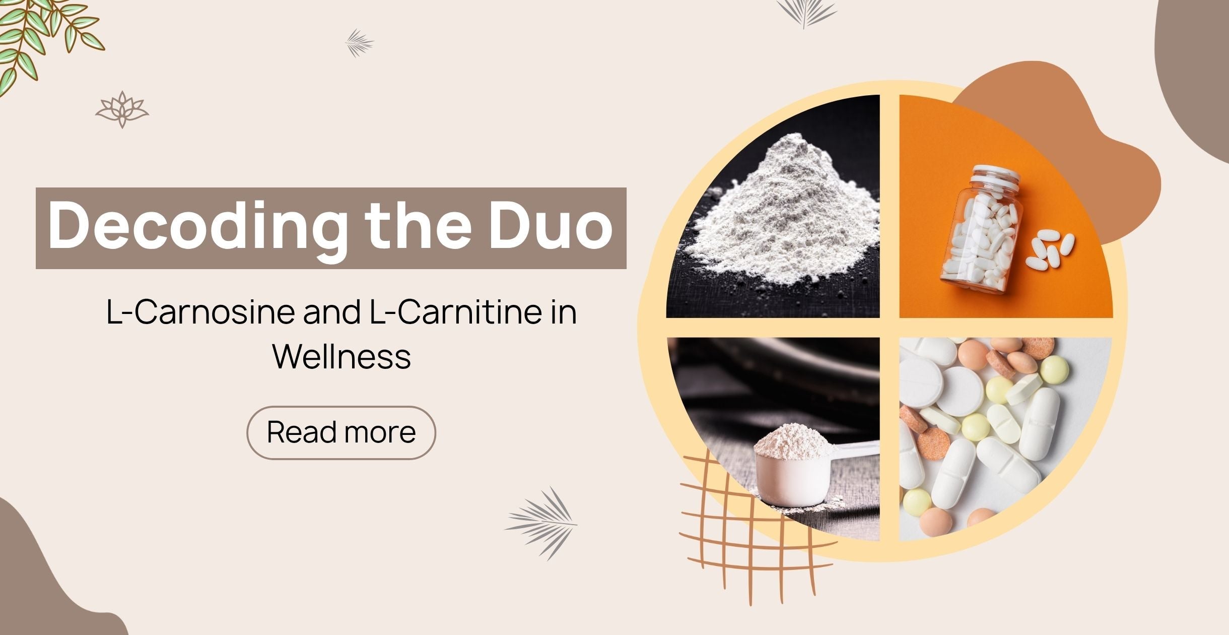 l-carnitine vs l-lysine Decoding the Duo: L-Carnosine and in Wellness|Clinikally Glutathione for clean daily antioxidant support