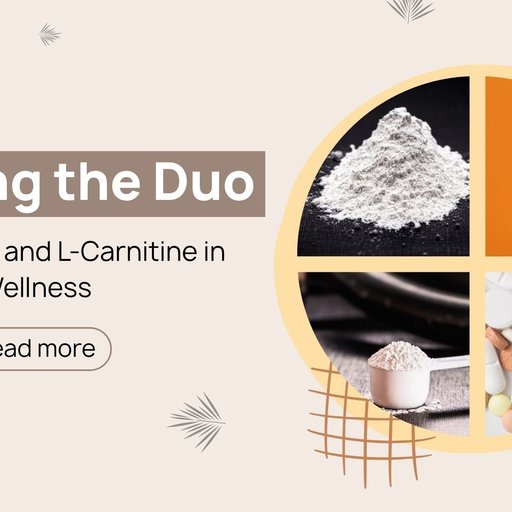 Decoding the Duo: L-Carnosine and L-Carnitine in Wellness|Clinikally