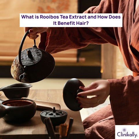 What is Rooibos Tea Extract and How Does It Benefit Hair?
