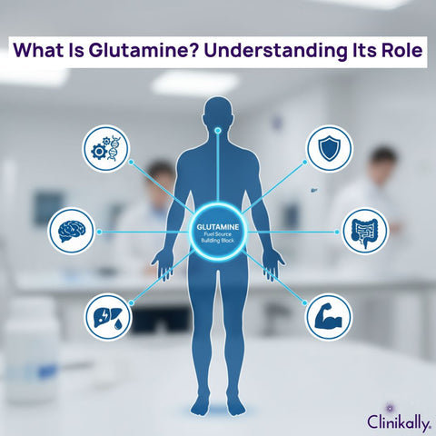 How to Use L-Glutamine for Immunity and Muscle Performance