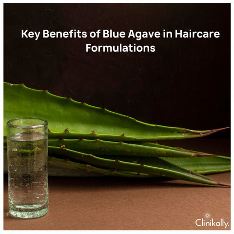 Key Benefits of Blue Agave in Haircare Formulations