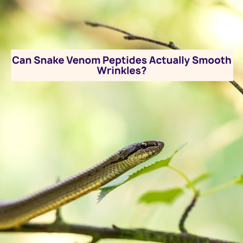 Can Snake Venom Peptides Actually Smooth Wrinkles?