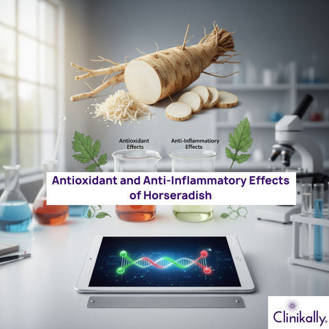 Antioxidant and Anti-Inflammatory Effects of Horseradish