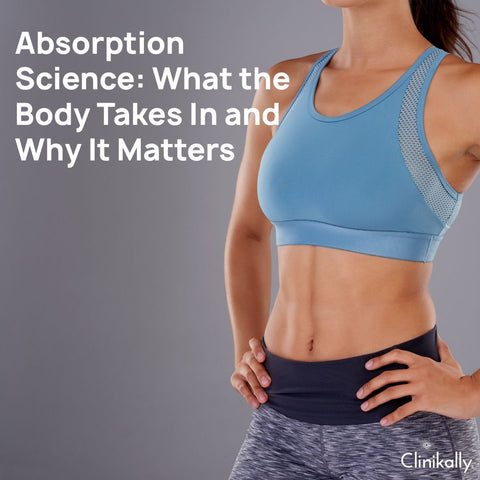 Absorption Science: What the Body Takes In and Why It Matters
