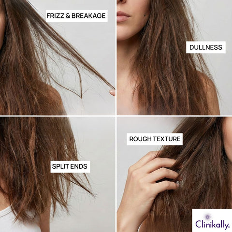 Top Signs Your Hair Is Dehydrated