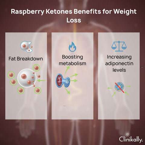 Raspberry Ketones Benefits for Weight Loss