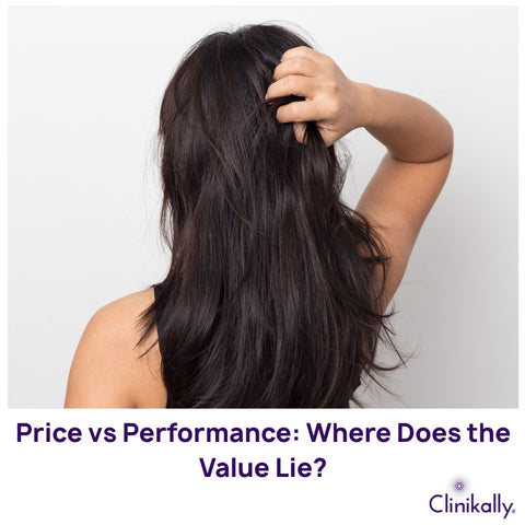 Price vs Performance: Where Does the Value Lie?