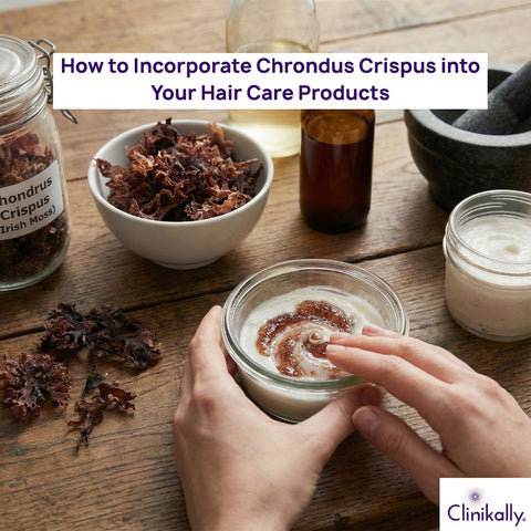 How to Incorporate Chrondus Crispus into Your Hair Care Products