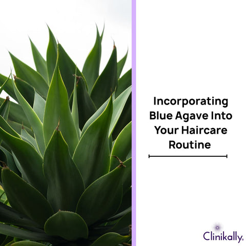Incorporating Blue Agave Into Your Haircare Routine