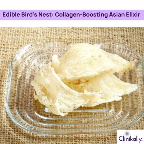 Edible Bird’s Nest: Collagen-Boosting Asian Elixir