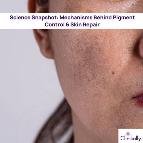 Science Snapshot: Mechanisms Behind Pigment Control & Skin Repair