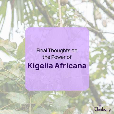 Final Thoughts on the Power of Kigelia Africana