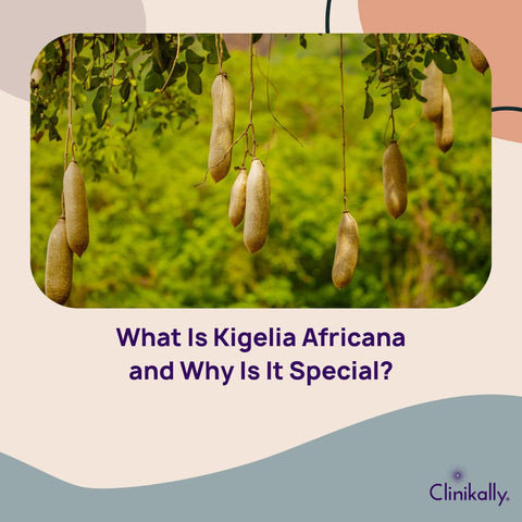 What Is Kigelia Africana and Why Is It Special?