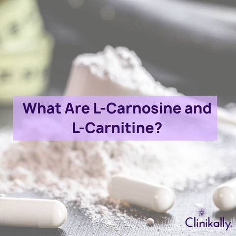 l-carnosine dmae acetyl-l-carnitine Decoding the Duo: and L-Carnitine in Wellness|Clinikally form:powder