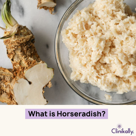 What is Horseradish?