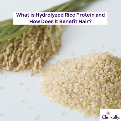 What is Hydrolyzed Rice Protein and How Does It Benefit Hair?
