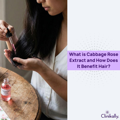 What is Cabbage Rose Extract and How Does It Benefit Hair?