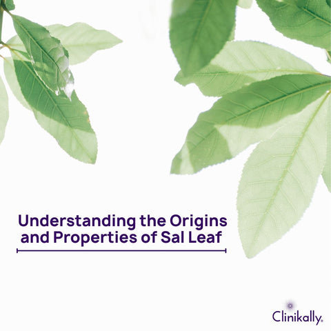 Understanding the Origins and Properties of Sal Leaf