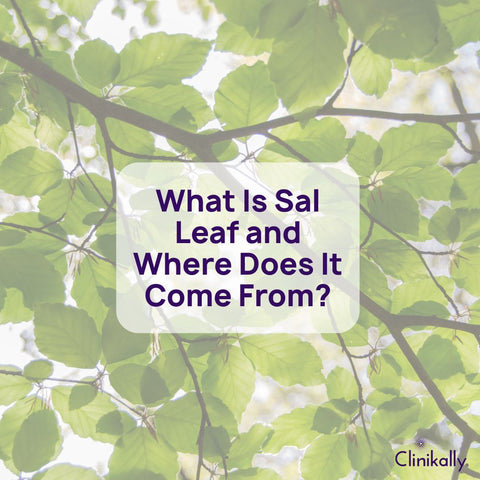 What Is Sal Leaf and Where Does It Come From?