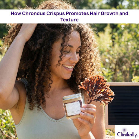 How Chrondus Crispus Promotes Hair Growth and Texture