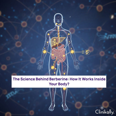 Science Behind Berberine
