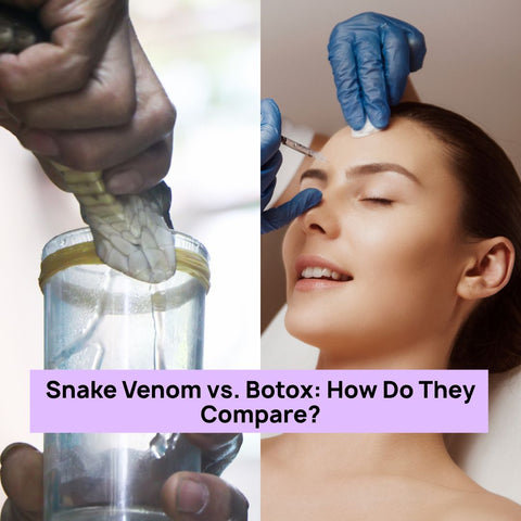 Snake Venom vs. Botox: How Do They Compare?