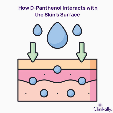 How D-Panthenol Interacts with the Skin’s Surface