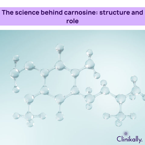 Decoding the Duo: L-Carnosine and L-Carnitine in Wellness|Clinikally