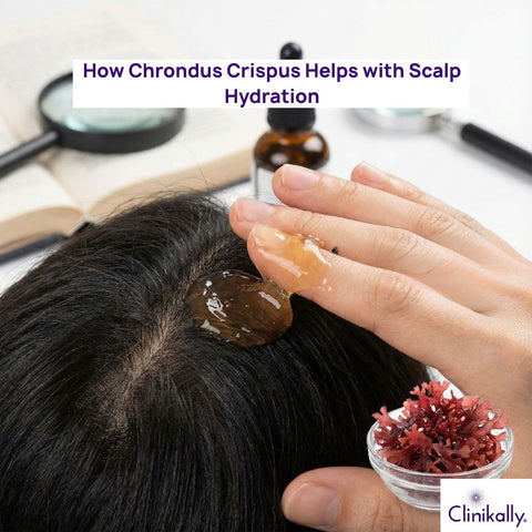 How Chrondus Crispus Helps with Scalp Hydration