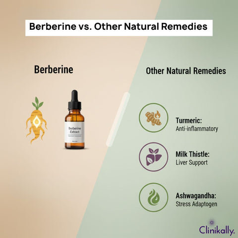 Berberine vs. Other Natural Remedies