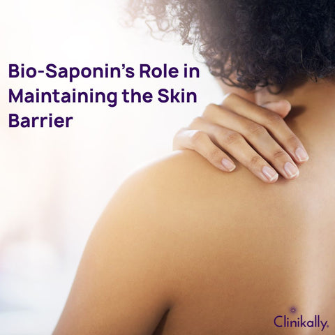 Bio-Saponin’s Role in Maintaining the Skin Barrier