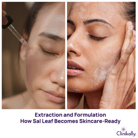 Extraction and Formulation: How Sal Leaf Becomes Skincare-Ready