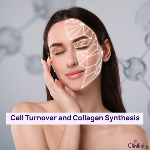 Cell Turnover and Collagen Synthesis
