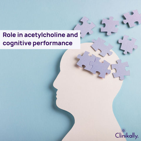 Role in acetylcholine and cognitive performance
