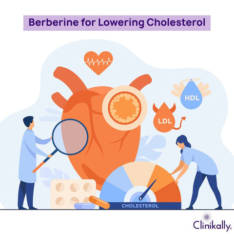 Berberine for Lowering Cholesterol