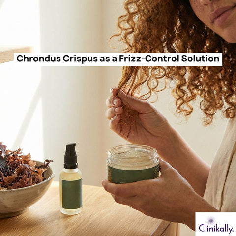 Chrondus Crispus as a Frizz-Control Solution